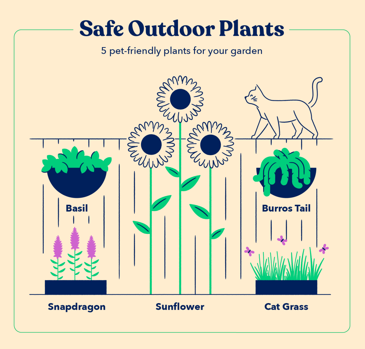 Pet-friendly plants and Toxic plants to pets
